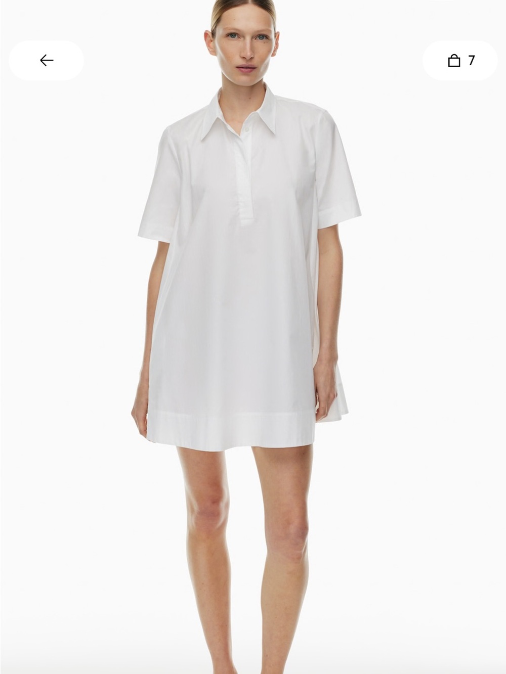 Aritzia Babaton Resolute Poplin Dress